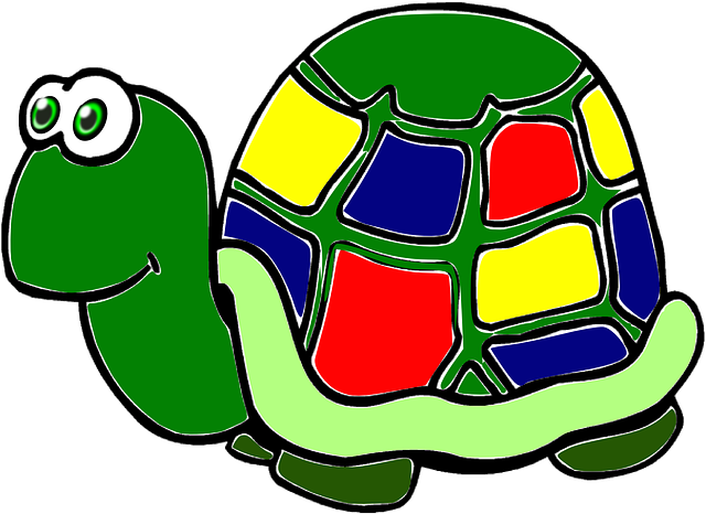 tortoise 155262_640